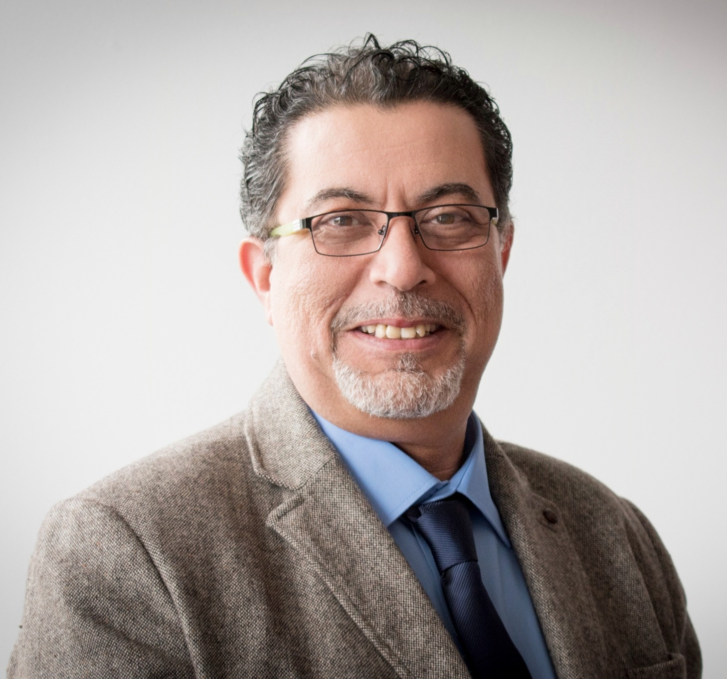 Professor Ashraf M. Salama 